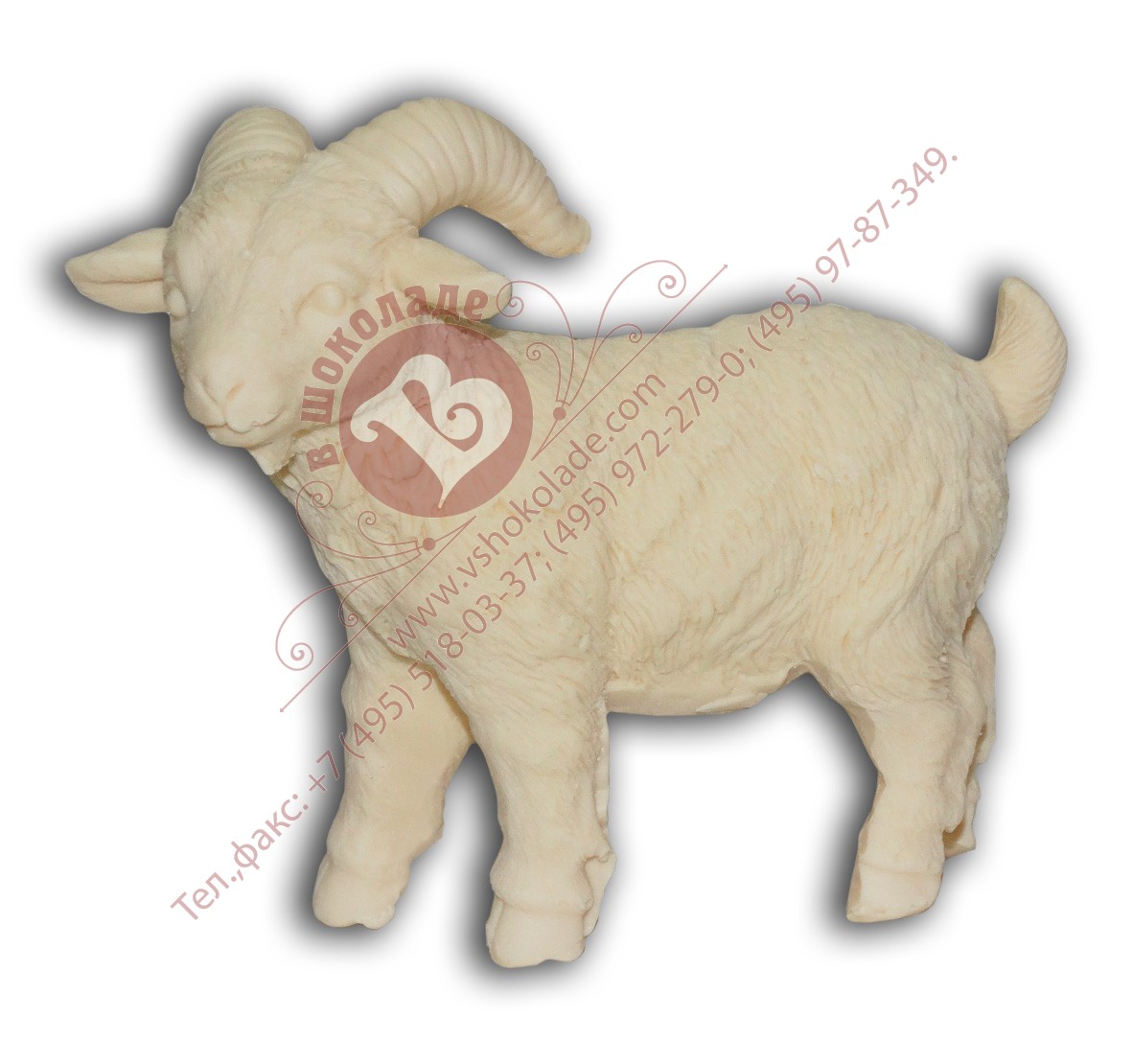 Шоколадная овечка - символ 2015 года. Артикул 2015 ovs_001